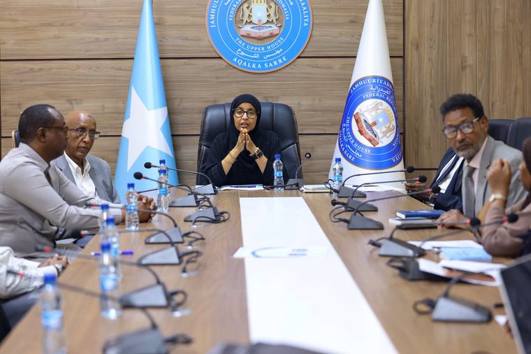 Guddiga Aqalka Sare oo ka shaqeynaya Hindise-sharciyeedka Burcad-badeedda iyo Ka-hortagga Afduubka