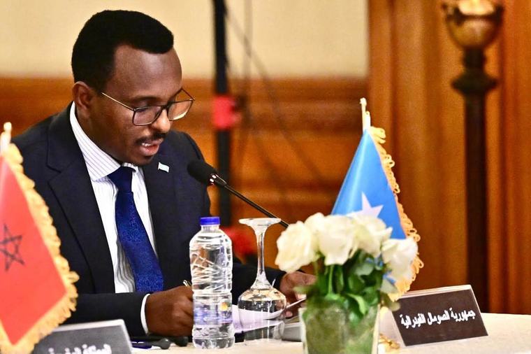 Somalia Elected Alternate External Auditor of Arab-African Audit Body
